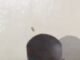 Katsina students in hospital