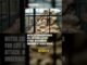 Zookeeper critically injured in Leopard attack