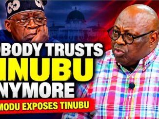 Momodu Calls Yorubas Tinubu’s Biggest Critics