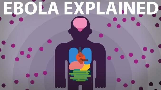 WHO: Ebola Survivors Can Spread Virus Through Sex