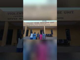 Ibadan trafficking ring busted