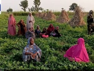Army rescues 27 kidnap victims in Katsina