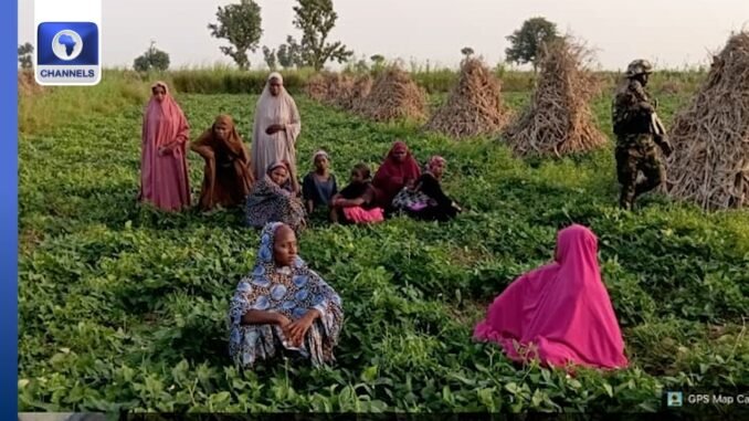 Army rescues 27 kidnap victims in Katsina