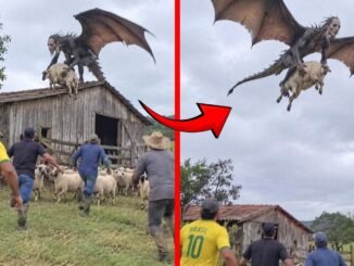 Hairless beast terrorises Mexican farm