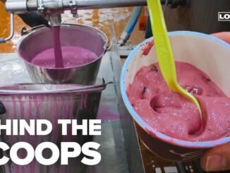 Bida LG closes ice cream factories