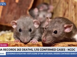Lassa Fever: NCDC Reports 268 Deaths