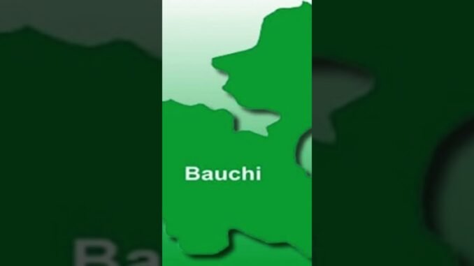 Bauchi Police arrest ransom kidnap suspect