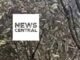 NAF investigates Ondo Aircraft crash