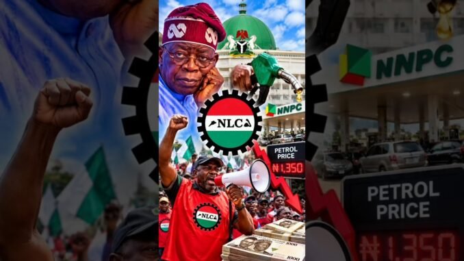 NLC issues two-week fuel price ultimatum