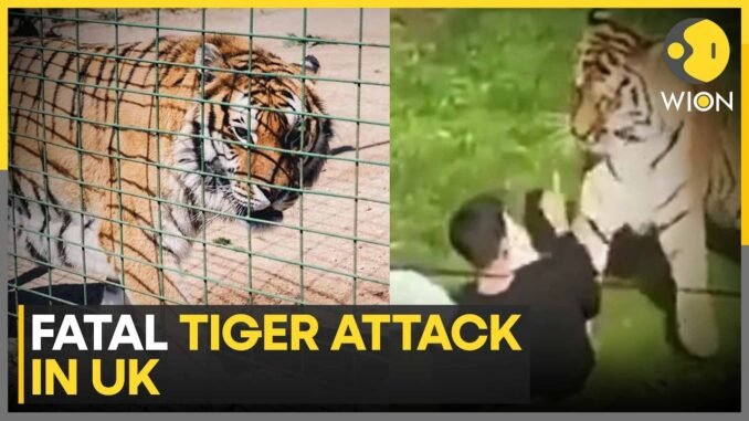Man Killed by Tiger at Yorkshire Wildlife Park
