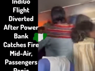 Power Bank Fire Mid-Air Raises Safety Concerns